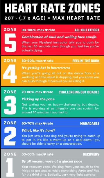 Heart Rate Zones for Seniors: A Guide to Safe and Effective Exercise